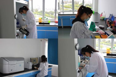 歐易訪談 專注生物技術服務，以技術開發驅動質量與體驗雙提升